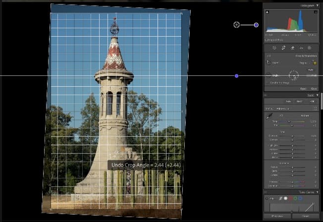 Composition grid and crop controls applied to a tower photograph.