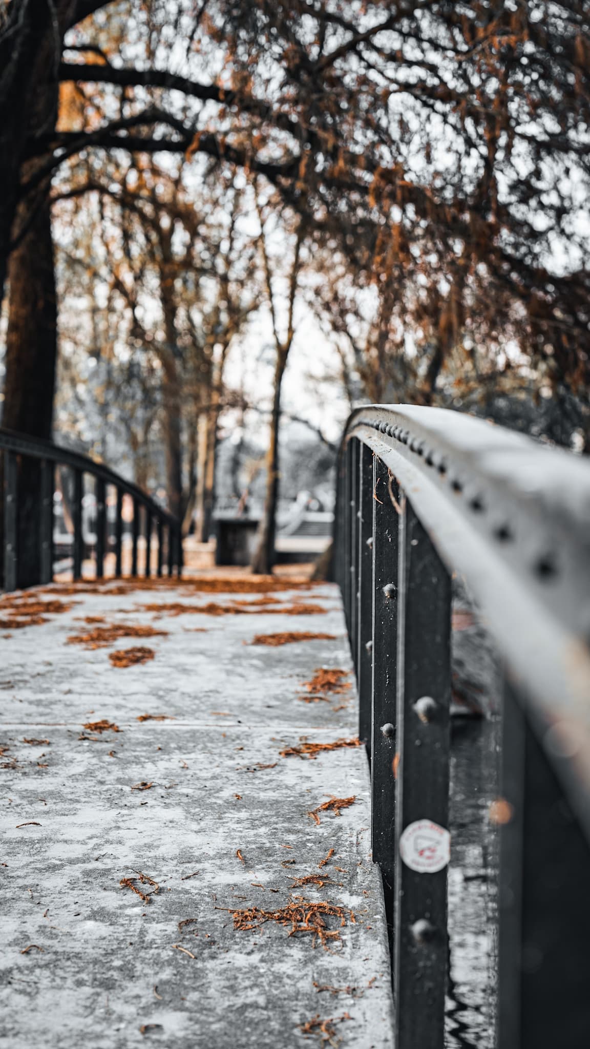 Bridge surrounded by warm autumn trees